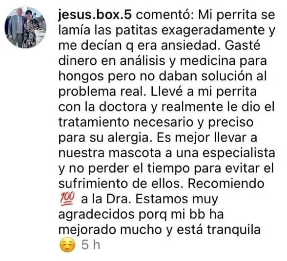 Testimonio de jesus.box.5 sobre el tratamiento de alergia de su perrita
